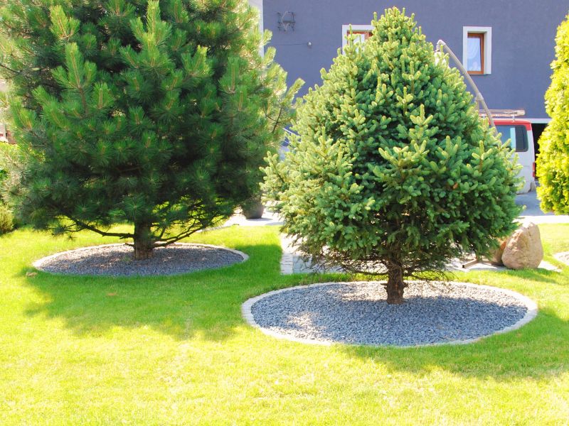 syrynia opaski Tomasz Zarzecki